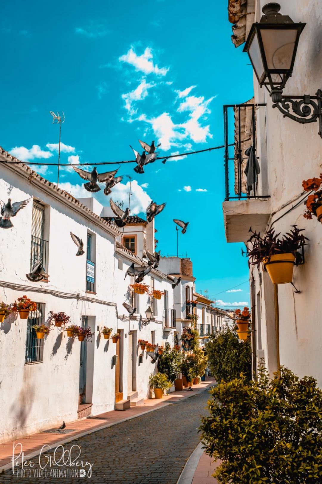 Casa Catalina Beach And Golf Διαμέρισμα Εστεπόνα Εξωτερικό φωτογραφία